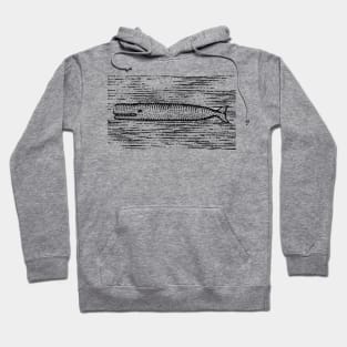 White Whale Hoodie